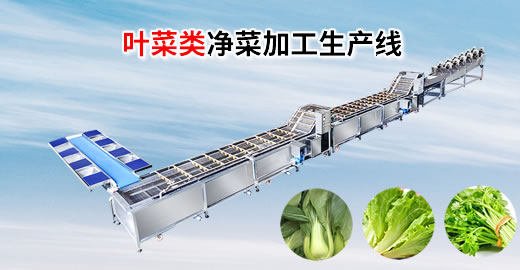 葉菜類凈菜加工設備包括哪些？