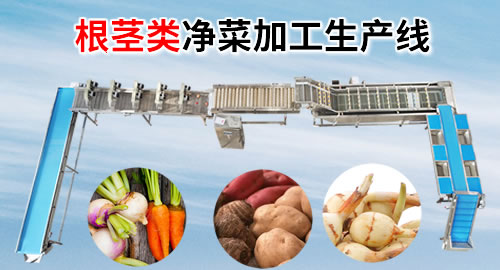 根莖類蔬菜清洗設備及工藝流程